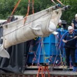 Inside the Wild Rescue Mission That Took 4 Beluga Whales to Chicago