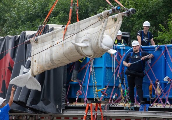 Inside the Wild Rescue Mission That Took 4 Beluga Whales to Chicago